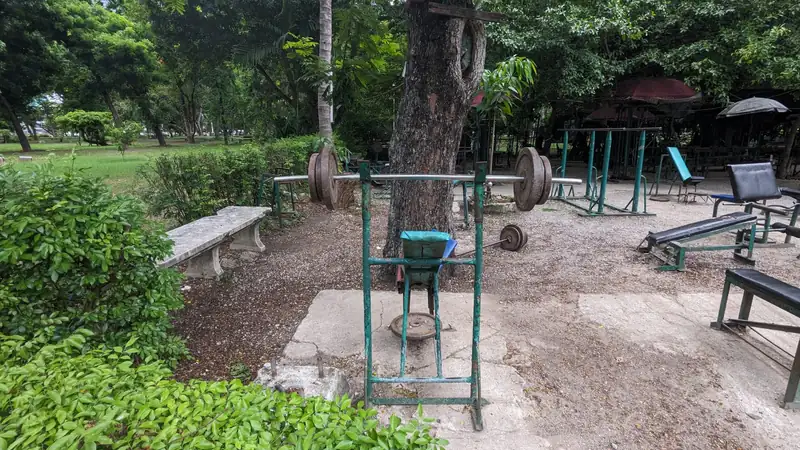 An outdoor gym under trees with rusted barbells, benches and a squat-rack frame.