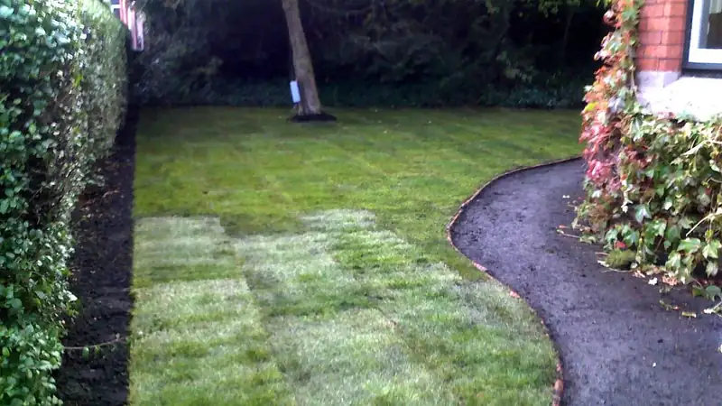 A freshly mowed backyard lawn with light-and-dark stripes, edged by a hedge and a curving path.