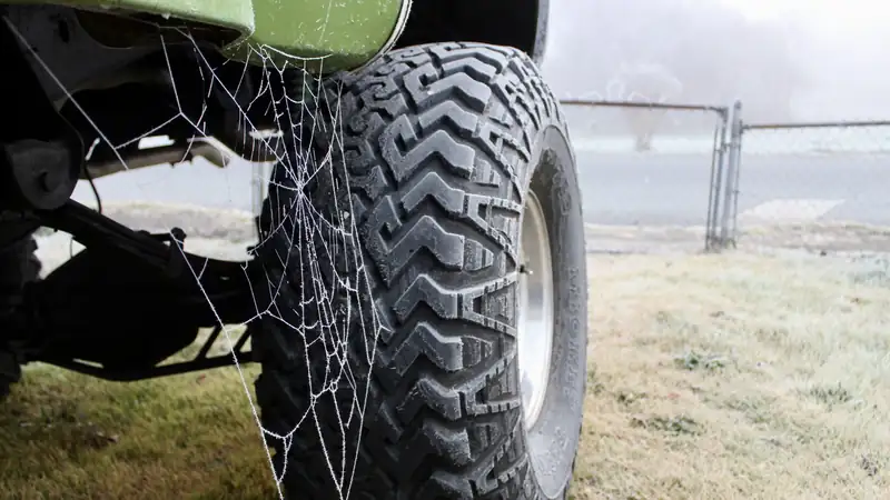 A big off-road tire on a green pickup truck, a frosted spiderweb strung across its tread.
