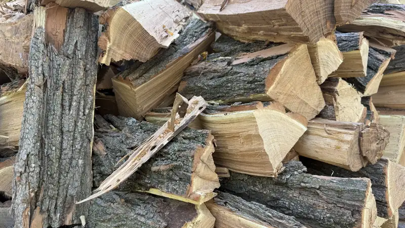 A stack of freshly split firewood with pale, clean-cut faces and rough bark.